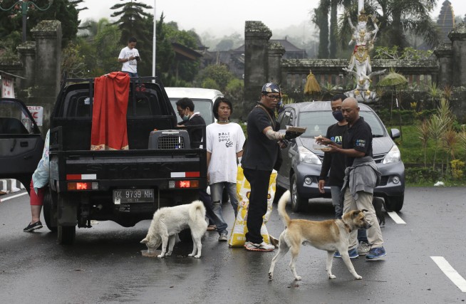 American woman's mission: Rescuing dogs from Bali volcano
