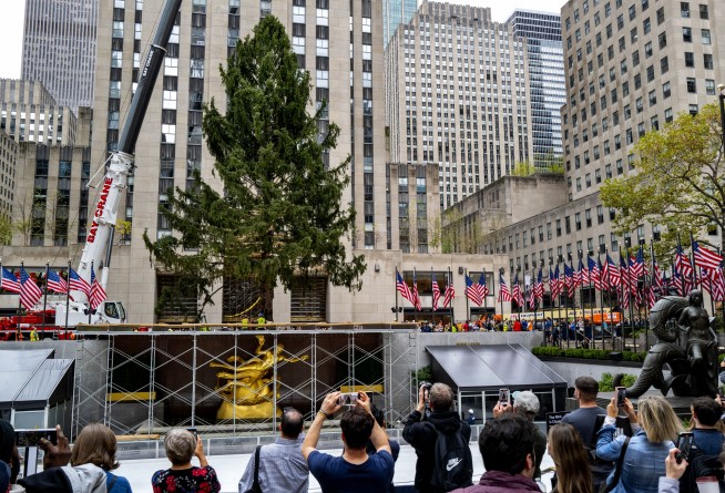 Holiday arrival: Rockefeller tree ushers in Christmas season