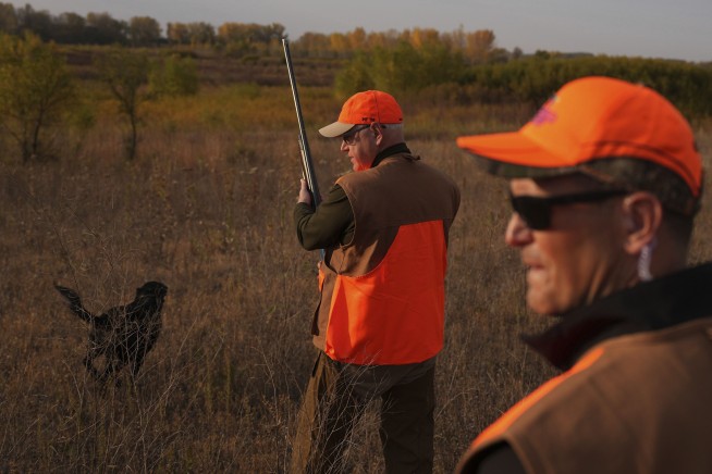 Walz tramps through tall grass but bags no birds as pheasant hunting season opens