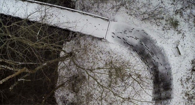 South storm: Fender benders, food runs, disrupted inaugural