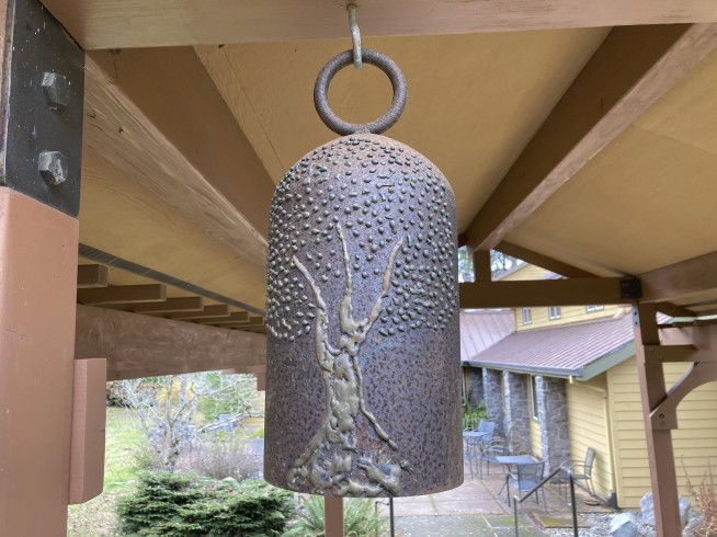 Have a safe trip: Oregon trains magic mushroom facilitators