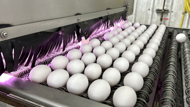 What's keeping egg prices high for Easter? It's not just inflation