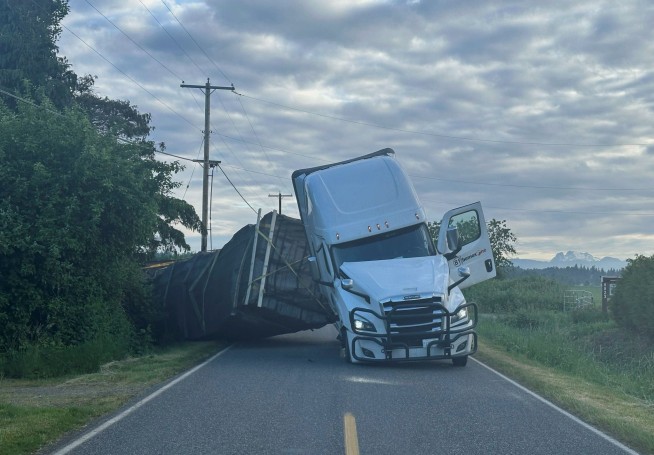 Millions of honeybees abuzz after truck overturns in Washington state