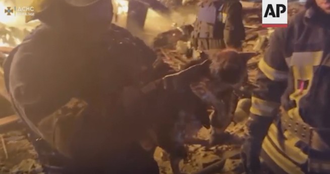 Ukrainian firefighters rescue kitten from burning building