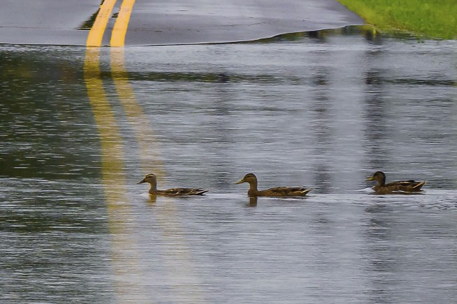 Flooding from the remnants of Debby leads to high water rescues in New York, Pennsylvania