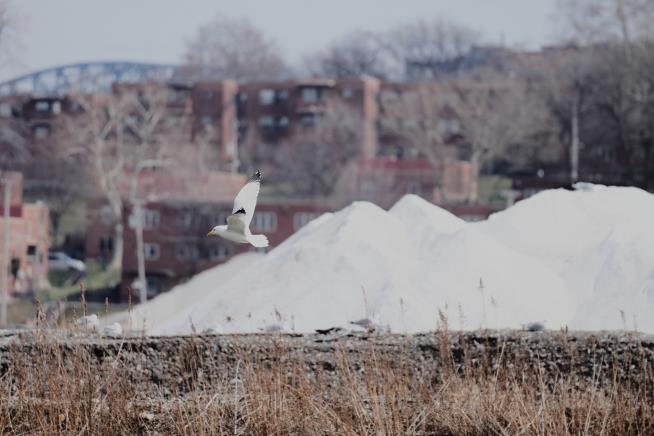 One of the largest salt mines in the world exists under Lake Erie