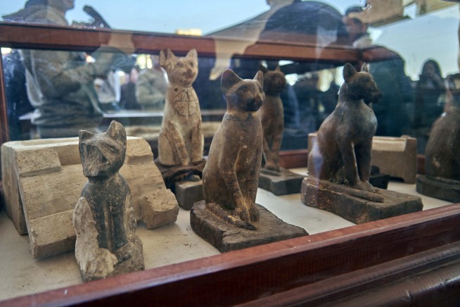 Egypt unveils animal mummies of lion cubs, crocodiles, birds