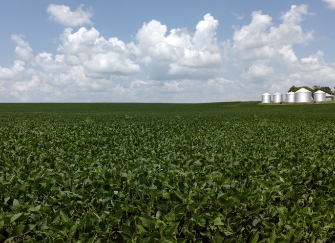 A hill of beans: Soybeans upstage trade talks