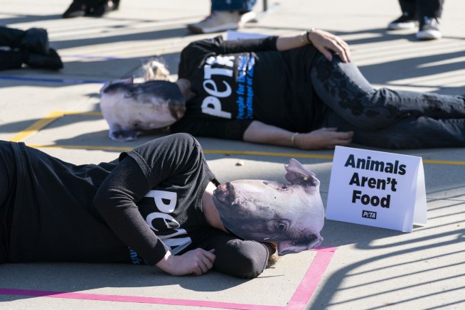 High court weighs California law on pigs, pork prices