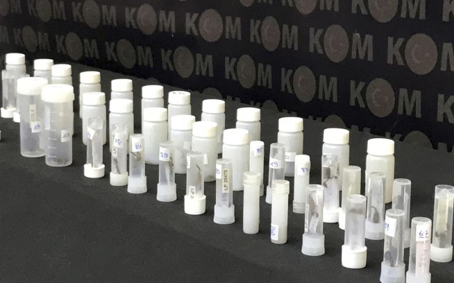 A US museum curator was detained in Turkey on claims of spider smuggling. He says he has permits