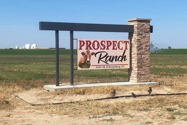 Government penalizes businesses over 6 deaths at Colorado dairy