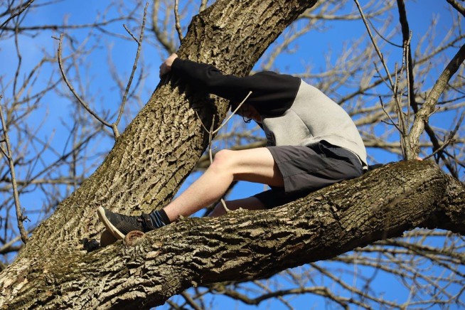 Indiana boy rescued after getting stuck in tree rescuing cat