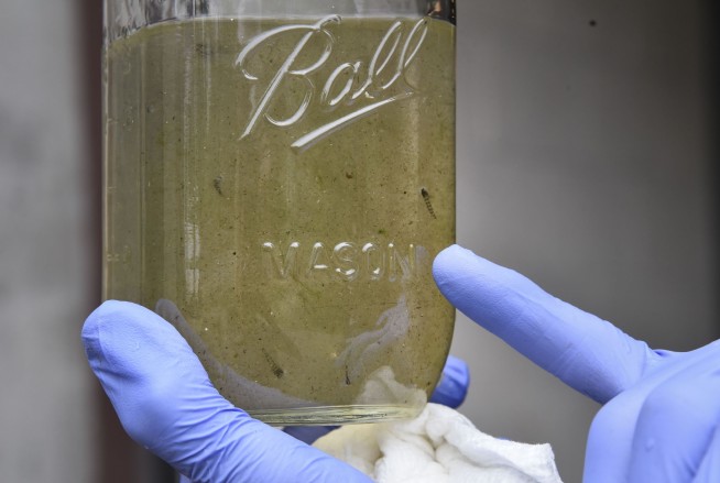 UN: Don't worry about drinking microplastics in water