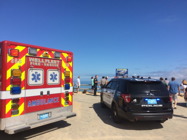 Police: Man dies after shark attack off Cape Cod