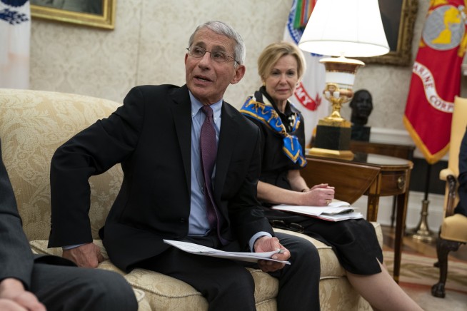 WH blocking Fauci testimony to House panel, spokesman says