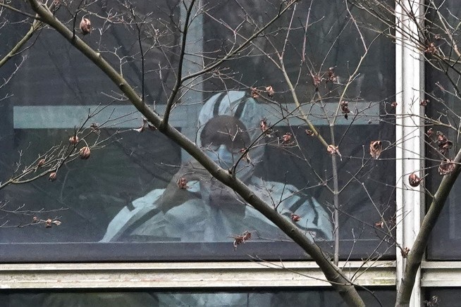 AP Exclusive: WHO report says animals likely source of COVID