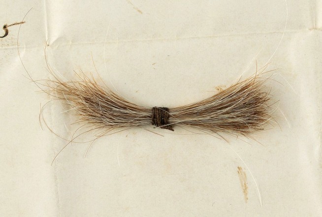 Lock of Lincoln's hair and bloodied telegram up for auction
