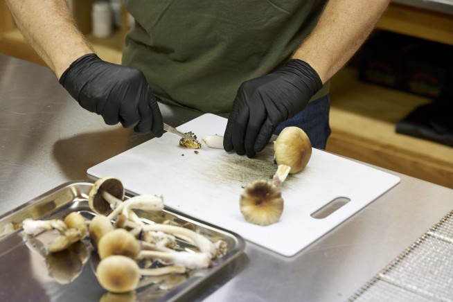 Oregon launches legal psilocybin access amid high demand and hopes for improved mental health care