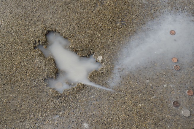 Chicago's 'rat hole' removed after city determines sidewalk with animal impression was damaged