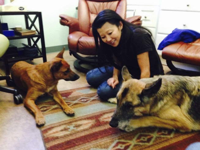 Gene Hackman and Betsy Arakawa's dog likely died of dehydration and starvation, report says