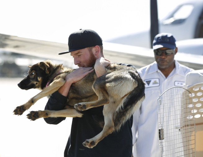 California dog presumed drowned found safe 5 weeks later
