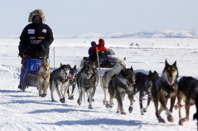 'A little scary': Iditarod begins with smallest field ever