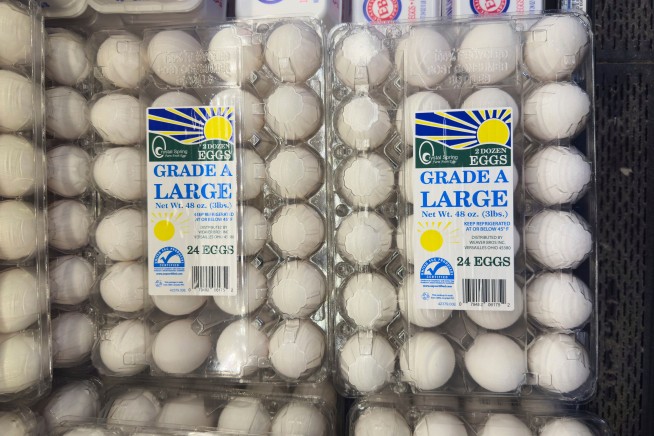 US egg prices increase to record high, dashing hopes of cheap eggs by Easter