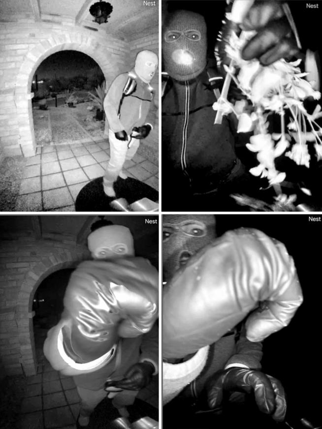 Police in Nancy Guthrie investigation say glove DNA didn't match anything in national database