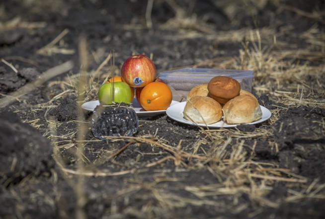 Ethiopia to send plane's black box abroad, as grief grows