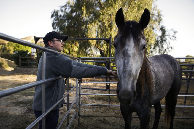 Horseman rides across US to bring attention to Agent Orange