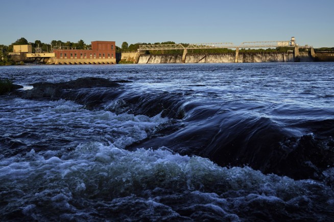 More wild Atlantic salmon found in U.S. rivers than any time in the past decade, officials say