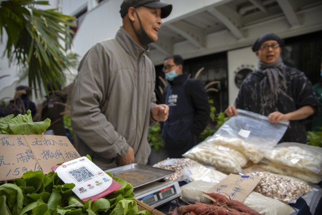 Market debut of Chinese e-finance giant Ant postponed