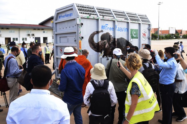 'World’s loneliest elephant' arrives safely in Cambodia