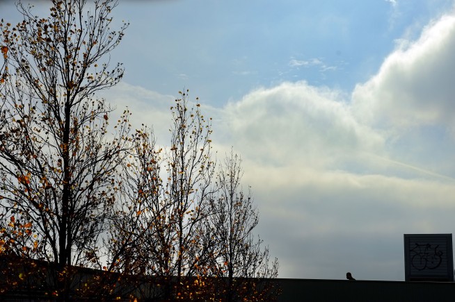 The Latest: Fauci suggests masks at Thanksgiving gatherings