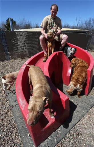 Canine flu outbreak sickens hundreds of dogs in Midwest