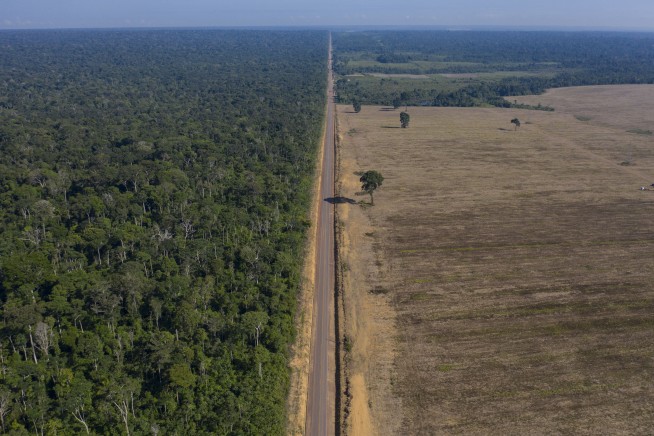 Amazon loses 10% of its vegetation in nearly four decades