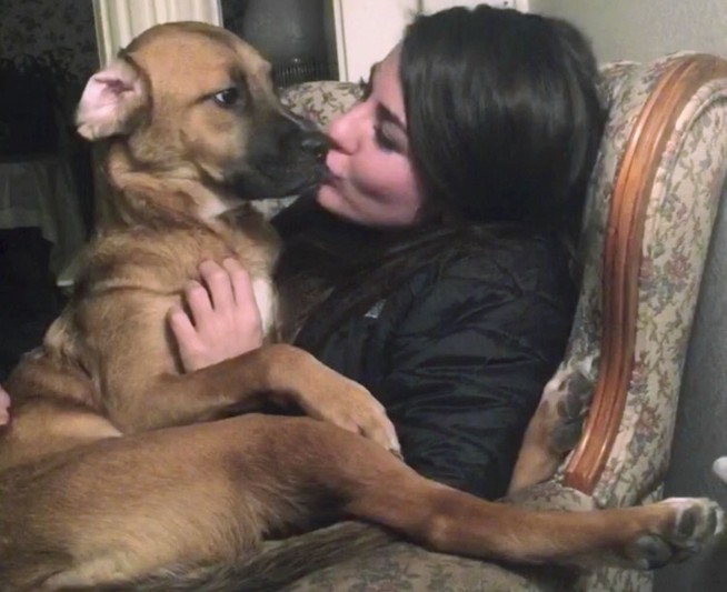 Court confirms man's custody of dog, denies ex-girlfriend