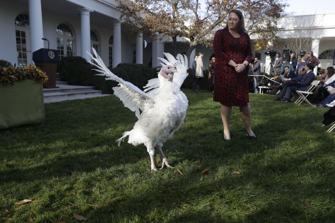 Trump tells impeachment jokes at annual turkey pardon event