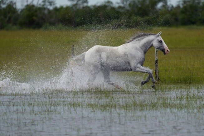 Beryl weakens to tropical depression after slamming into Texas as Category 1 hurricane