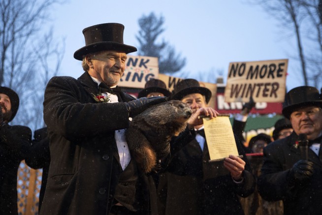 Pennsylvania groundhog declares early spring 'a certainty'