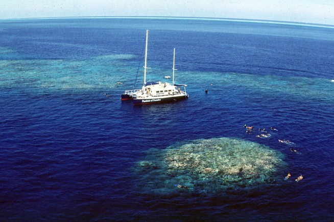 Bleaching on Great Barrier Reef more widespread than ever