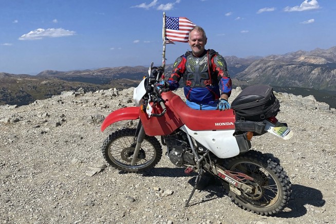 US researchers test pig-to-human transplant in donated body