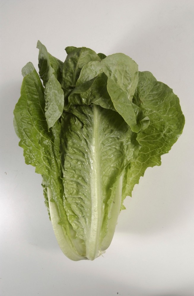 1st death reported in romaine lettuce E. coli outbreak