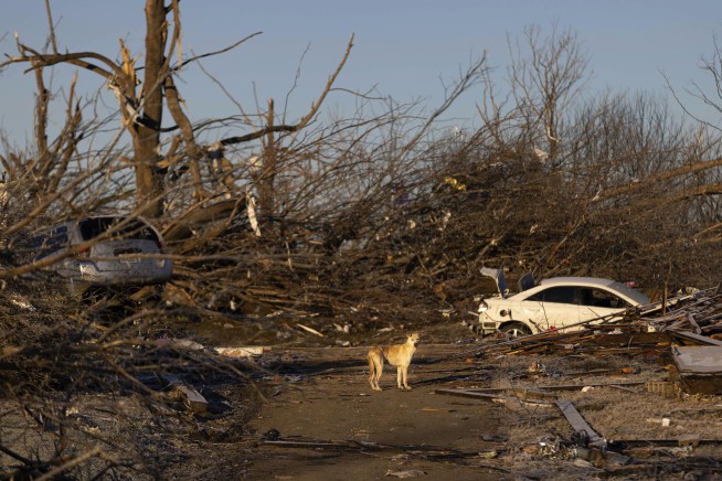 Spokesman: 8 factory workers dead, 8 missing from tornado