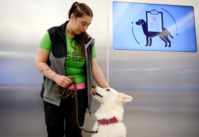 Finland deploys coronavirus-sniffing dogs at main airport