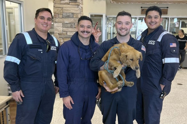 Dog rescued after more than a week trapped inside shipping container in Texas port