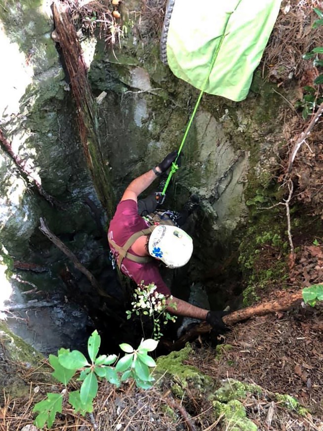 Dog trapped in 30-foot hole lured to safety with beef jerky