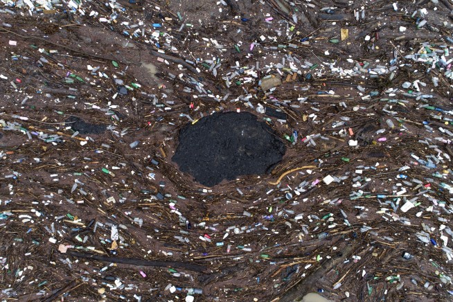 Sections of Balkan river become floating garbage dump