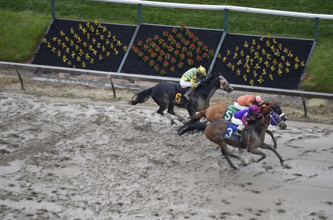 2 horses die in first 4 races on Preakness Day undercard