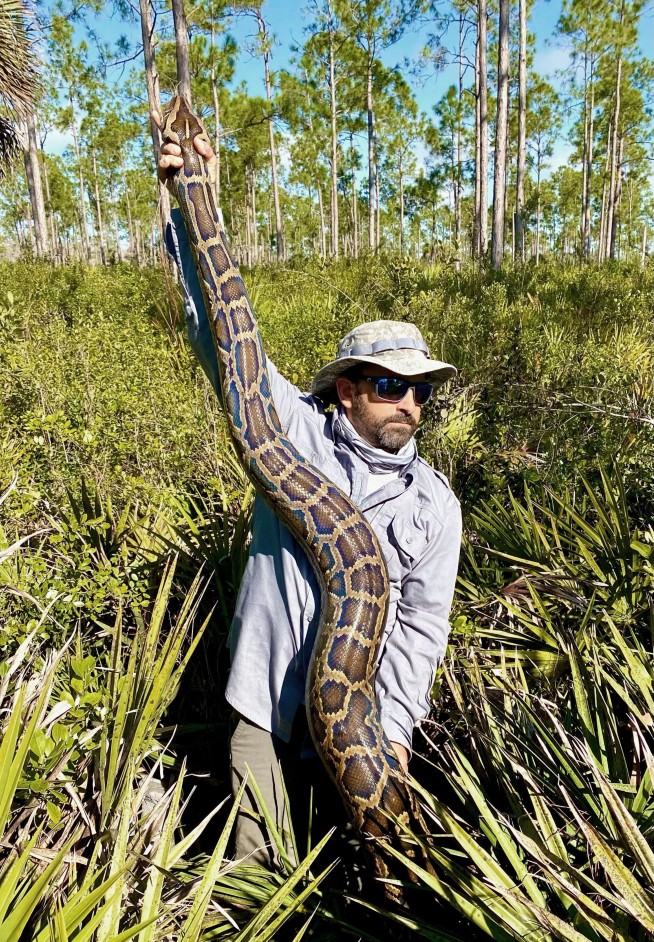 Florida team hauls in 18-foot, 215-pound Burmese python